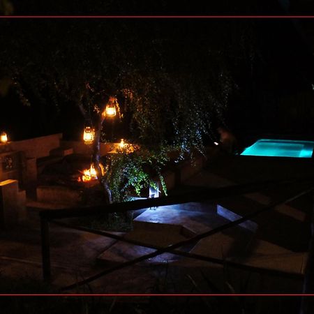 מרלות' פארק Dream Of Africa Bush Lodge מראה חיצוני תמונה