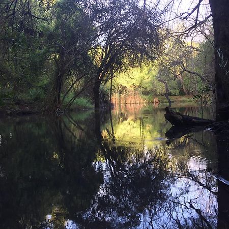 מרלות' פארק Dream Of Africa Bush Lodge מראה חיצוני תמונה
