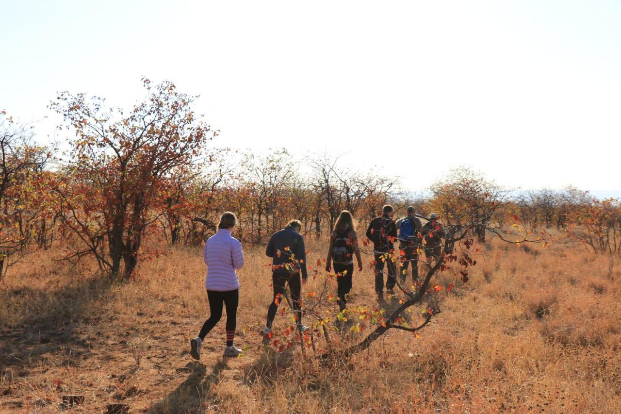מרלות' פארק Dream Of Africa Bush Lodge מראה חיצוני תמונה