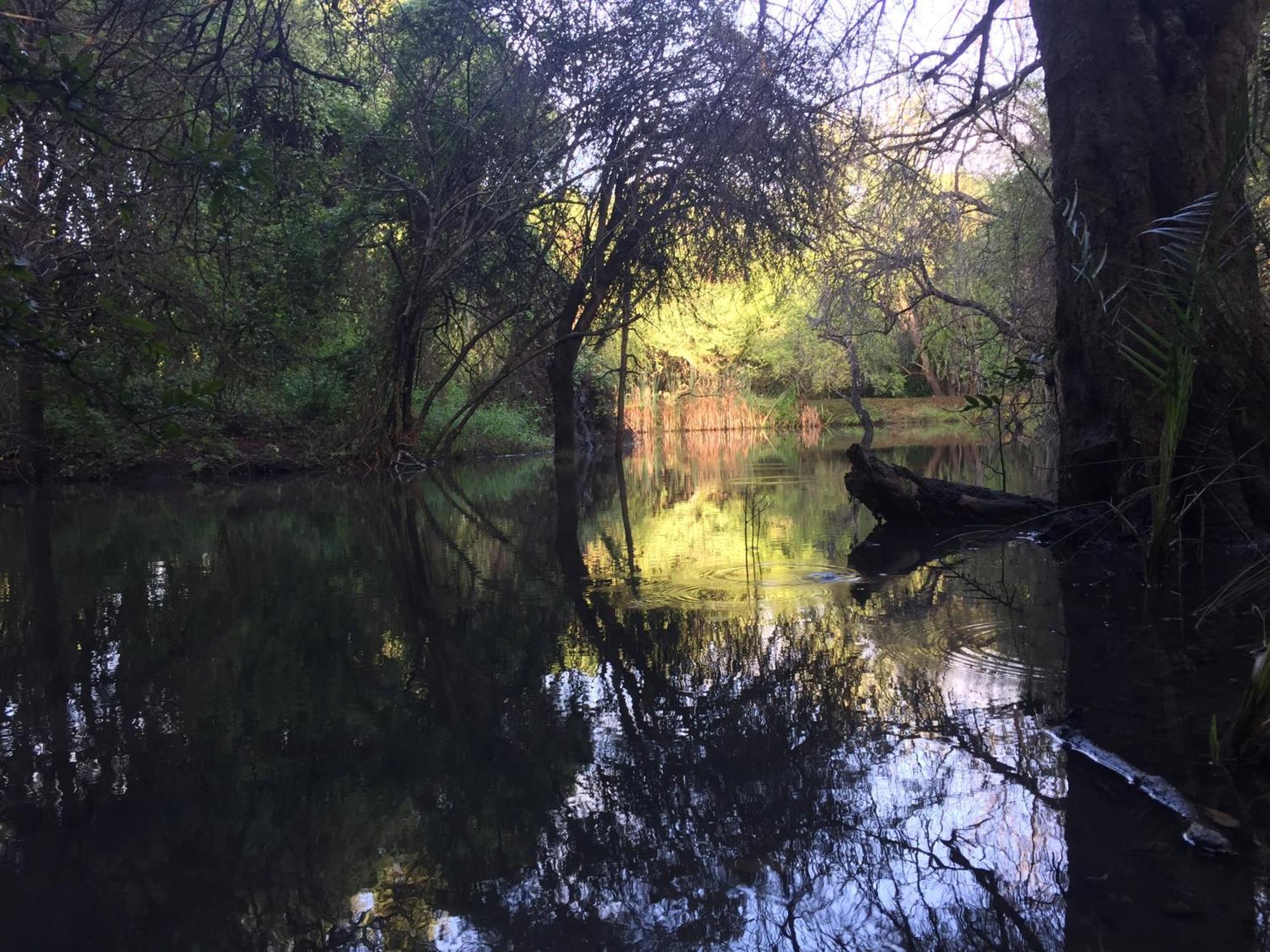מרלות' פארק Dream Of Africa Bush Lodge מראה חיצוני תמונה