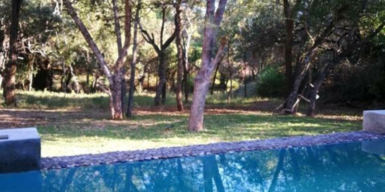 מרלות' פארק Dream Of Africa Bush Lodge מראה חיצוני תמונה